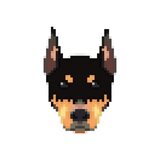 Avatar de amorpeludito